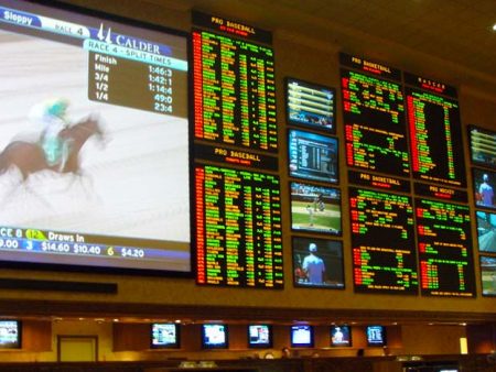 Sports Betting Books You Should Know