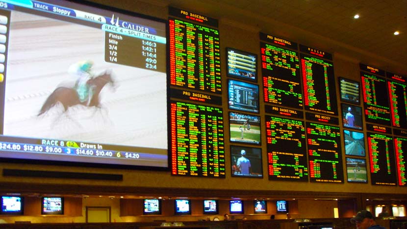 Sports Betting Books You Should Know